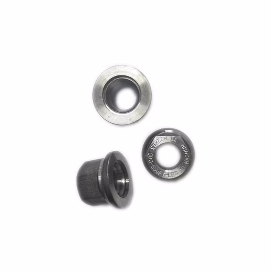 Wheel Nuts Alloy Nuts Lug Nuts for Truck Auto Motor Chrome